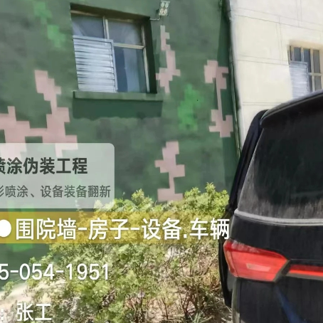 青岛数码迷彩漆施工